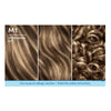Schwarzkopf Nordic Blonde M1 Streaking Kit
