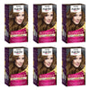 Napro Palette Permanent Hair Colour 5-5 Light Gold Brown x 3 Bundle of 6