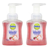 Dettol Foam Hand Wash Rose & Cherry in Bloom 250mL Pack of 2