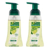 Palmolive Antibacterial Foaming Hand Wash Lime & Mint 250mL x 6 Bundle of 2
