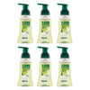 Palmolive Antibacterial Foaming Hand Wash Lime & Mint 250mL x 6 Bundle of 6