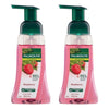 Palmolive Foaming Hand Wash Raspberry 250mL Pack of 2