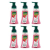 Palmolive Foaming Hand Wash Raspberry 250mL Pack of 6