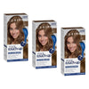 Clairol Root Touch-Up 6 Light Brown Permanent Hair Colour Pack of 3