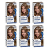 Clairol Root Touch-Up 6 Light Brown Permanent Hair Colour Pack of 6
