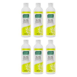 Thursday Plantation Tea Tree Everyday Shampoo 250mL Pack of 6
