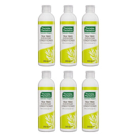 Thursday Plantation Tea Tree Everyday Conditioner 250mL Pack of 6