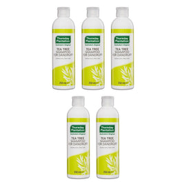 Thursday Plantation Tea Tree Shampoo For Dandruff 250mL Pack of 5