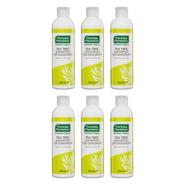 Thursday Plantation Tea Tree Shampoo For Dandruff 250mL Pack of 6