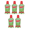 Colgate Plax Mouthwash Fresh Tea 500mL x 4 Bundle of 5