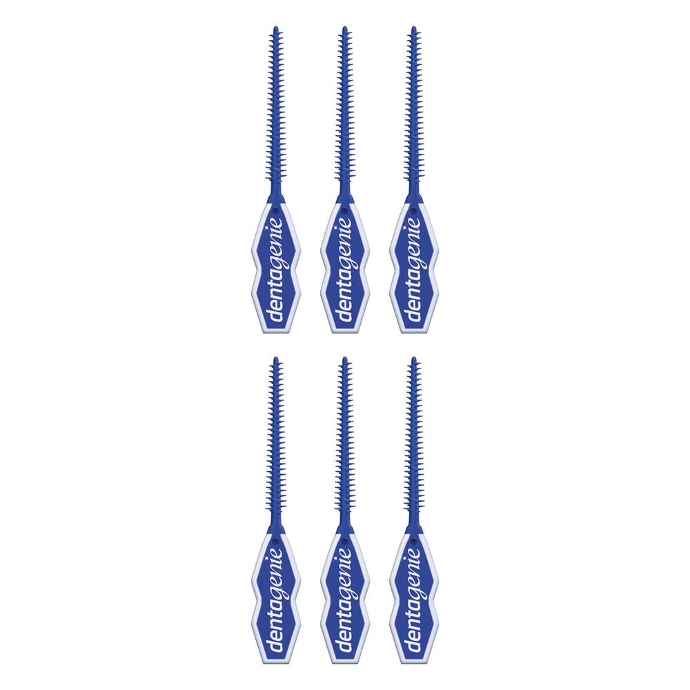 Dentagenie Interdental Soft Picks 40 Pack x 6 Bundle of 6