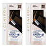 Clairol Root Touch-Up Concealing Powder Dark Brown 2.1g Pack of 2