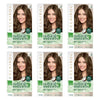 Clairol Natural Instincts 6 Light Brown Pack of 6