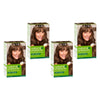 Clairol Natural Instincts 6A Light Cool Brown Pack of 4