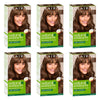 Clairol Natural Instincts 6A Light Cool Brown Pack of 6