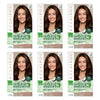 Clairol Natural Instincts 5 Medium Brown Pack of 6