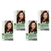 Clairol Natural Instincts 5W Medium Warm Brown Pack of 4
