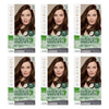 Clairol Natural Instincts 5W Medium Warm Brown Pack of 6