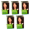 Clairol Natural Instincts 4 Dark Brown Pack of 5