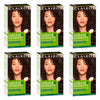 Clairol Natural Instincts 4 Dark Brown Pack of 6