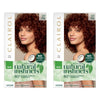 Clairol Natural Instincts 5R Medium Auburn Pack of 2