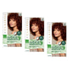 Clairol Natural Instincts 5R Medium Auburn Pack of 3