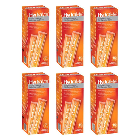 Hydralyte Orange Flavoured Electrolyte Ice Blocks 16 Pack Bundle of 6
