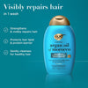 OGX Renewing+ Argan Oil of Morocco Shampoo 385mL