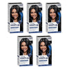 Clairol Root Touch-Up 2 Black Pack of 5