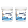 Magnoplasm Drawing Paste 100g Pack of 2