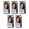 Clairol Root Touch-Up 5 Medium Brown Pack of 5