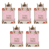 Disney Pure Princess Plush Hot Water Bottle Fit For A Princess Pack of 5