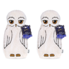 Warner Bros Harry Potter Hedwig Plush Hot Water Bottle Mad Beauty Pack of 2