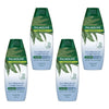 Palmolive Naturals Anti-Dandruff 2-in-1 Shampoo & Conditioner 350mL Pack of 4