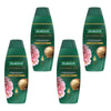 Palmolive Luminous Oils Moroccan Argan Oil & Camellia Shampoo 350mL Pack of 4