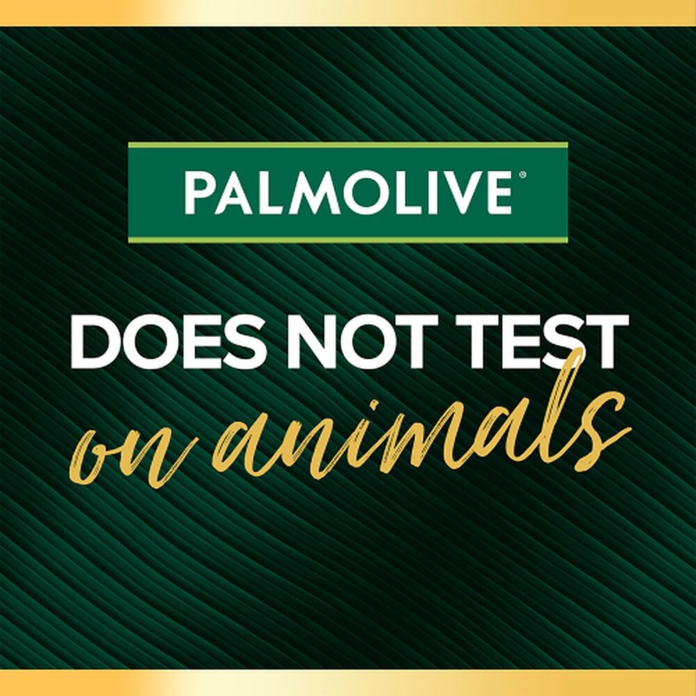 Palmolive Luminous Oils Moroccan Argan Oil & Camellia Conditioner 350mL