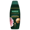 Palmolive Luminous Oils Moroccan Argan Oil & Camellia Conditioner 350mL