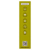 Four Seasons Naked Larger Condoms 12 Pack