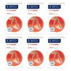 JOBST UltraSheer Thigh High Large Natural Pack of 6