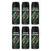 Lynx Deodorant Aerosol Africa 165mL Pack of 6