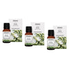 Bosisto's Australian Natives Focus Oil 15mL Pack of 3