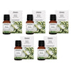 Bosisto's Australian Natives Focus Oil 15mL Pack of 5