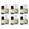 Bosisto's Australian Natives Focus Oil 15mL Pack of 6
