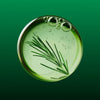 Weleda Skin Food 75mL