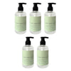 As It Falls Antibacterial Hand Sanitiser 250mL x 24 Bundle of 5