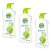 Dettol ProFresh Shower Gel Citrus Splash 950mL x 3 Bundle of 3