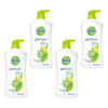 Dettol ProFresh Shower Gel Citrus Splash 950mL x 3 Bundle of 4