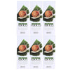 Jigott Real Moisture Snail Hand Cream 100ml Pack of 6 Hydrating Repair