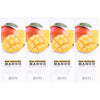 Jigott Real Moisture Mango Hand Cream 100ml Pack of 4 Nourishing Hydration