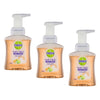 Dettol Foam Hand Wash Lime and Orange Blossom 250mL Pack of 3